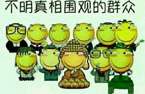 娱乐吃瓜酱讲外婆养大的羊羊,羊羊的成长传奇